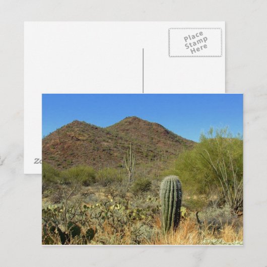 Arizona Briefkaart (Voorkant / Achterkant)