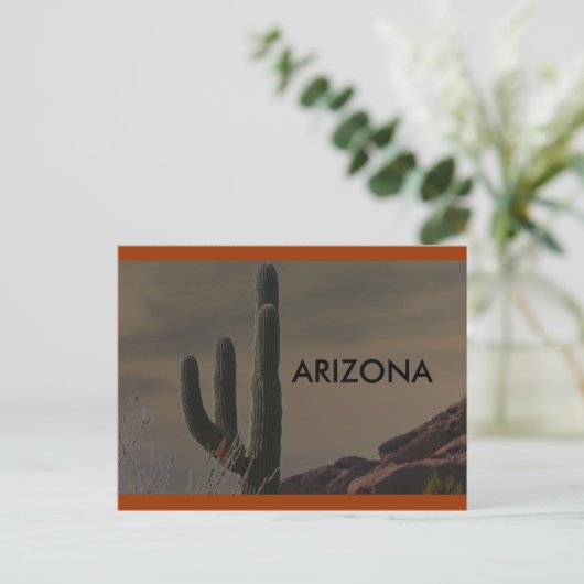 ARIZONA BRIEFKAART (Staand voorkant)