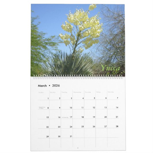 Arizona Cacti Calendar Kalender (Mar 2026)