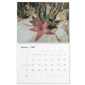 Arizona Cacti Calendar Kalender (Feb 2027)