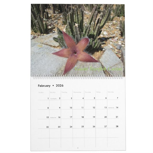 Arizona Cacti Calendar Kalender (Feb 2026)