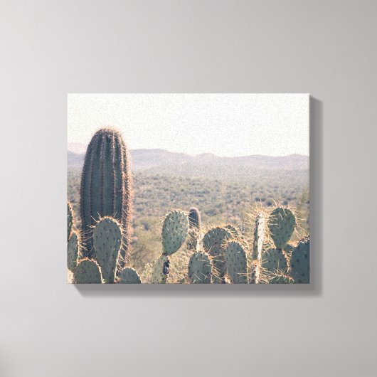 Arizona Cacti | Canvaskunst Canvas Afdruk (Voorkant)