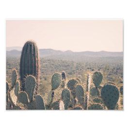 Arizona Cacti | Fotoafdrukken Foto Afdruk