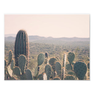 Arizona Cacti   Fotoafdrukken Foto Afdruk