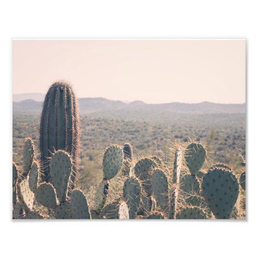 Arizona Cacti | Fotoafdrukken Foto Afdruk (Voorkant)