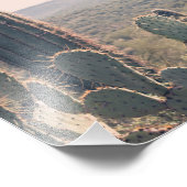 Arizona Cacti | Fotoafdrukken Foto Afdruk (Hoek)