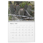 Arizona Cacti Kalender (Feb 2027)
