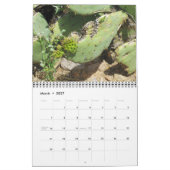 Arizona Cacti Kalender (Mar 2027)