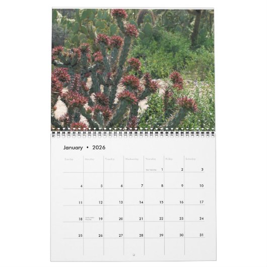 Arizona Cacti Kalender (Jan 2026)