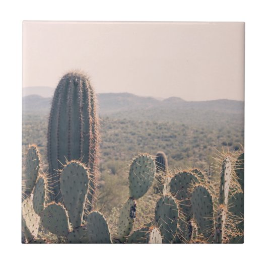 Arizona Cacti  | Landschapsfoto van woestijnboheme Tegeltje (Voorkant)