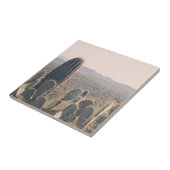 Arizona Cacti  | Landschapsfoto van woestijnboheme Tegeltje (Zijkant)