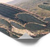 Arizona Cacti | POSTER (Hoek)