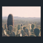 Arizona Cacti | POSTER<br><div class="desc">Een originele foto van een jonge saguaro cacti die over een prikkel cactus naar de woestijn van Arizona kijkt. Als u de grootte van het poster verandert, zorg ervoor u "aanpast het!"klikt om de grootte van het afbeelding te veranderen, indien nodig, om de foto te verzekeren het volledige poster behandelt,...</div>