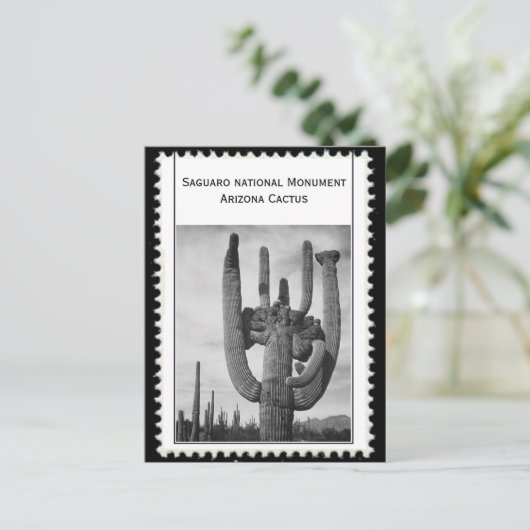 Arizona cactus briefkaart (Staand voorkant)