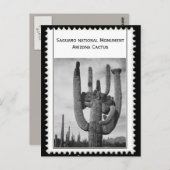 Arizona cactus briefkaart (Voorkant / Achterkant)