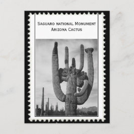 Arizona cactus briefkaart