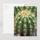 Arizona Cactus Briefkaart (Voorkant / Achterkant)