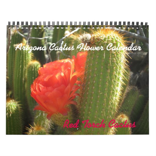 Arizona Cactus Flower Calendar Kalender (Hoes)