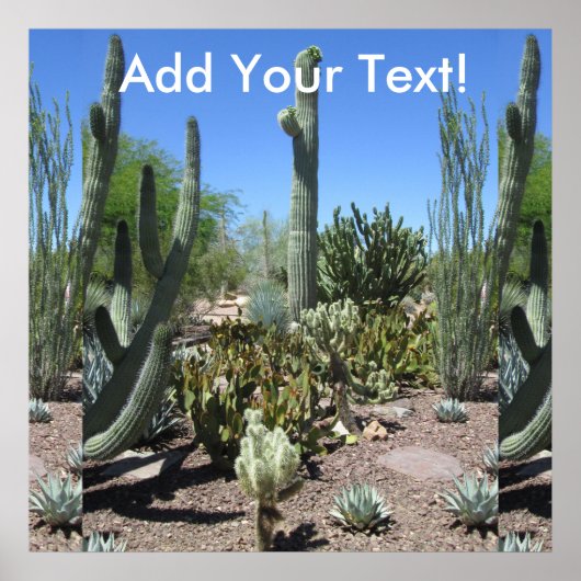 Arizona Cactus Garden Poster (Voorkant)