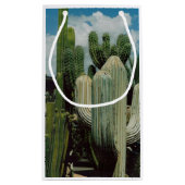 Arizona Cactus Klein Cadeauzakje (Achterkant)