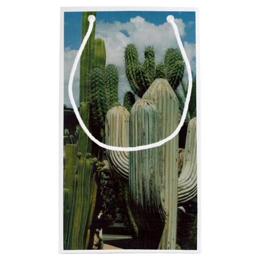 Arizona Cactus Klein Cadeauzakje (Achterkant)