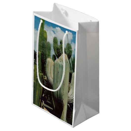 Arizona Cactus Klein Cadeauzakje (Voorkant Gekanteld)