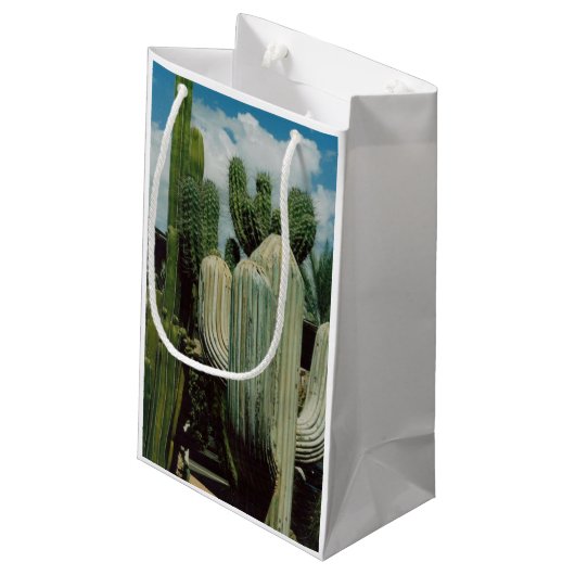 Arizona Cactus Klein Cadeauzakje (Achterkant Gekanteld)