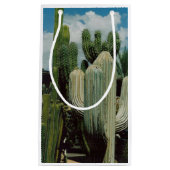 Arizona Cactus Klein Cadeauzakje (Voorkant)