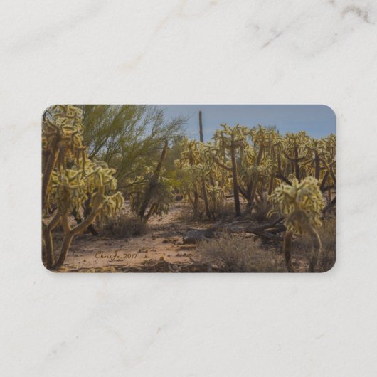 Arizona Cactus La Cholla Visitekaartjes (Voorkant)