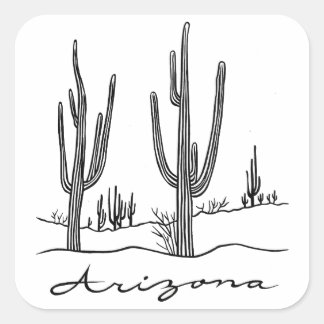Arizona Cactus Land Vierkante Sticker