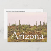 Arizona Cactus Landschap Briefkaart (Voorkant / Achterkant)