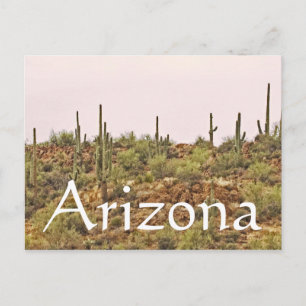 Arizona Cactus Landschap Briefkaart