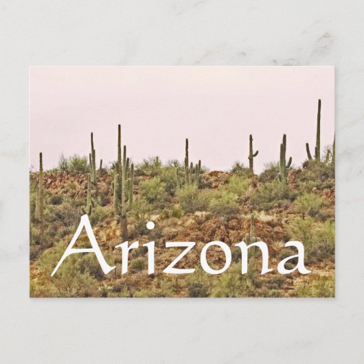 Arizona Cactus Landschap Briefkaart (Voorkant)