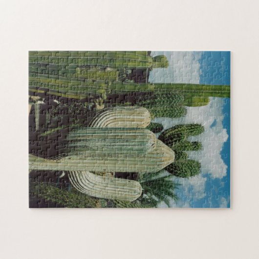 Arizona Cactus Legpuzzel (Horizontaal)