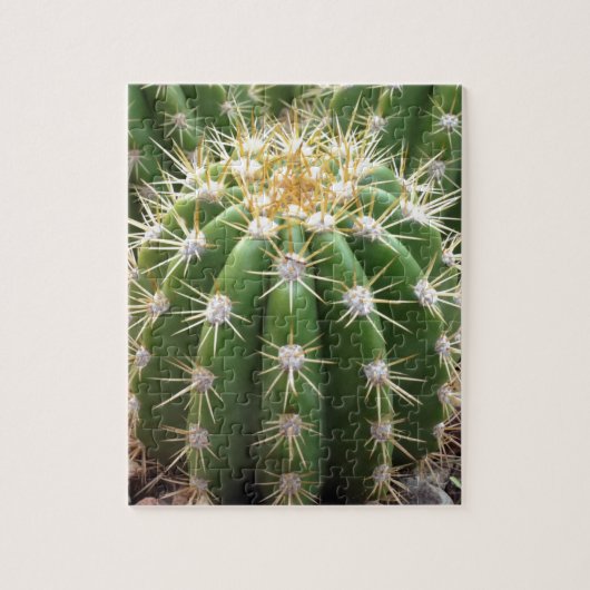 Arizona Cactus Legpuzzel (Verticaal)