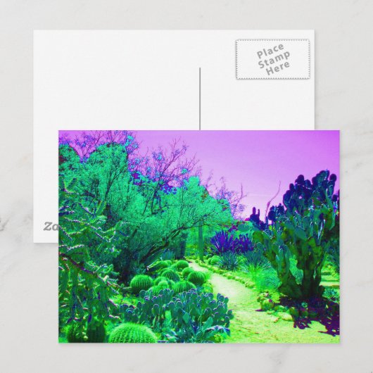 Arizona Cactus Path Briefkaart (Voorkant / Achterkant)