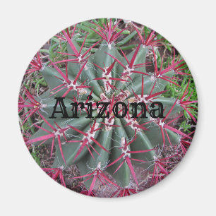 Arizona Cactus Photo Red Barrel Desert Plant Magneet