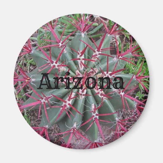 Arizona Cactus Photo Red Barrel Desert Plant Magneet (Voorkant)