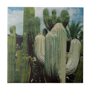 Arizona Cactus Tegeltje
