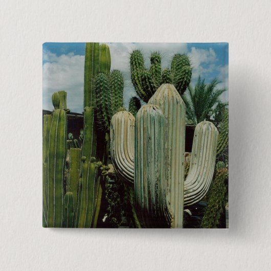 Arizona Cactus Vierkante Button 5,1 Cm (Voorkant)
