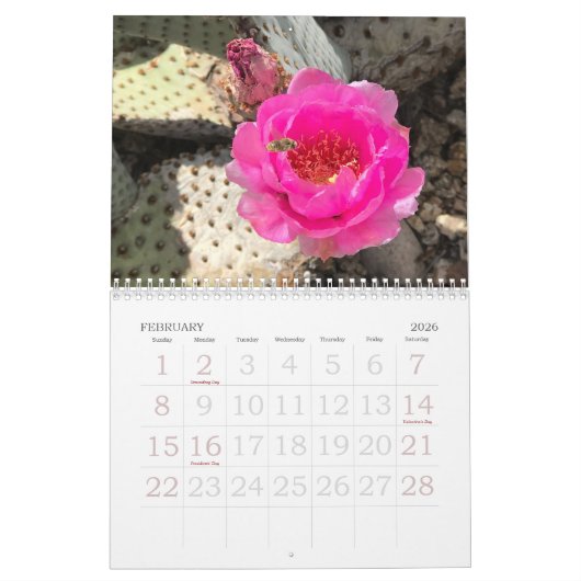 Arizona Cactus | Woestijnbloemen kiezen je jaar Kalender (Feb 2026)