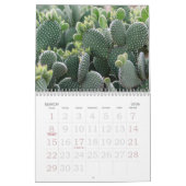 Arizona Cactus | Woestijnbloemen kiezen je jaar Kalender (Mar 2026)