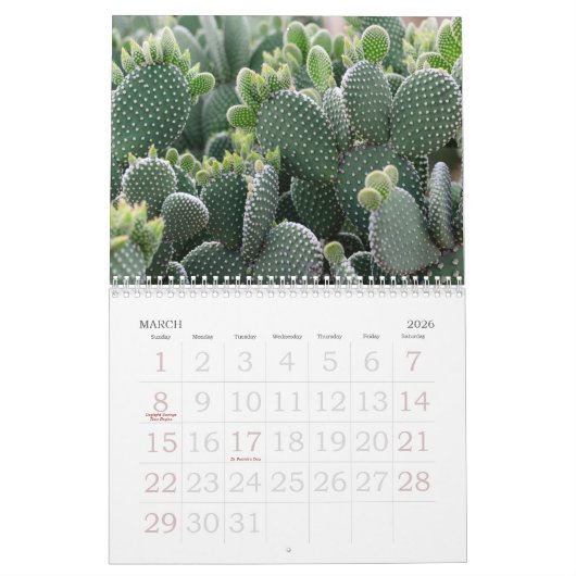 Arizona Cactus | Woestijnbloemen kiezen je jaar Kalender (Mar 2026)