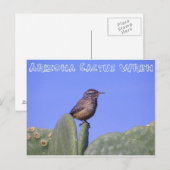Arizona Cactus Wren Briefkaart (Voorkant / Achterkant)