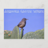 Arizona Cactus Wren Briefkaart (Voorkant)