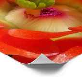 Arizona Claret Cup Cactus Red Oranje Flowers Poster (Hoek)
