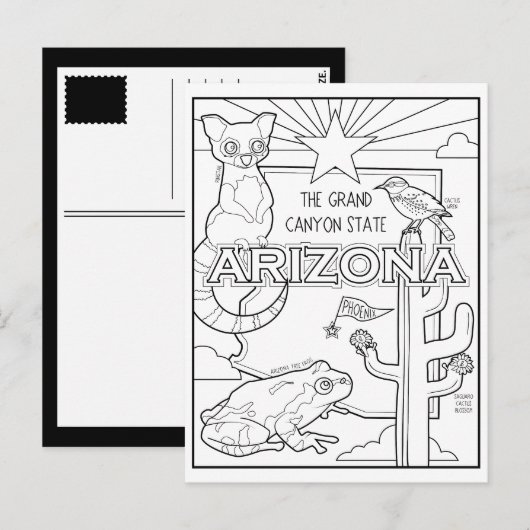 Arizona Collage Briefkaart (Voorkant / Achterkant)