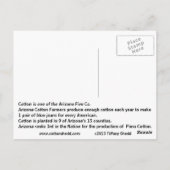 Arizona Cotton Facts Briefkaart (Achterkant)
