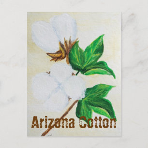 Arizona Cotton Facts Briefkaart