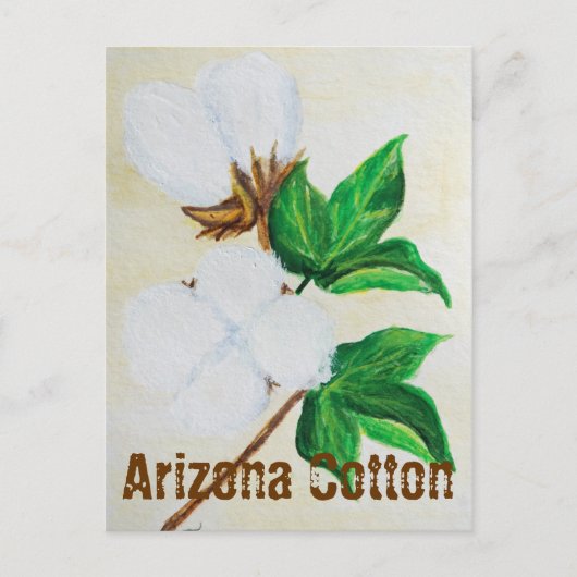 Arizona Cotton Facts Briefkaart (Voorkant)